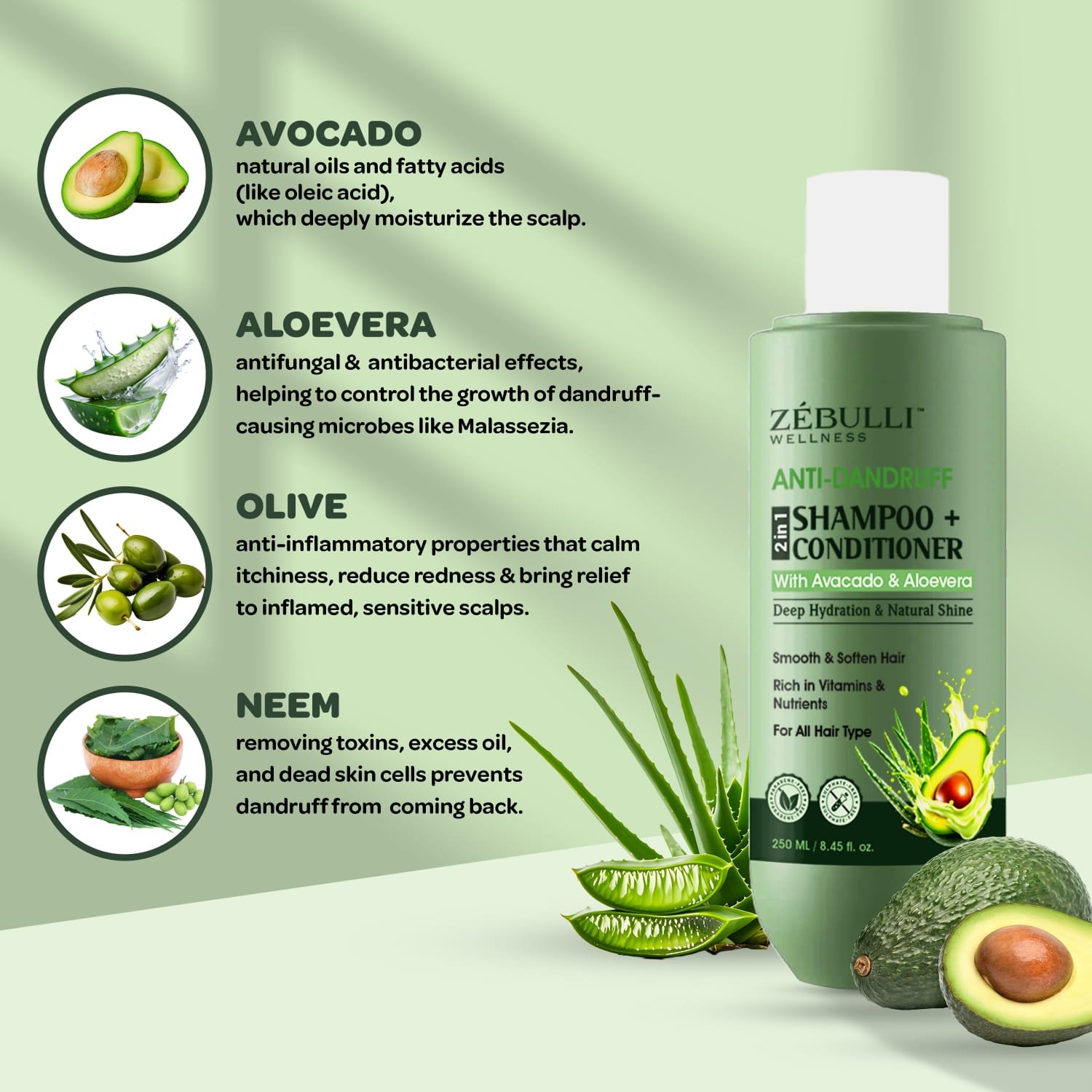 Anti Dandruf Shampoo Conditionar1